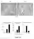 Fig. 13 - Methods and compositions for treating inflammatory conditions