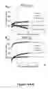 Fig. 16 - Methods and compositions for treating inflammatory conditions