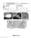 Fig. 18 - Methods and compositions for treating inflammatory conditions