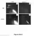 Fig. 29 - Methods and compositions for treating inflammatory conditions
