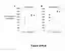Fig. 37 - Methods and compositions for treating inflammatory conditions