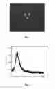 Fig. 02 - Nanometer mesoporous silica-based xerogel styptic process and its preparing process and application