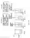 Fig. 07 - Controlled degradability of organic materials