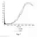 Fig. 05 - Structured films having acoustical absorbance properties
