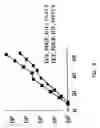 Fig. 03 - Multipotent adult stem cells and methods for isolation