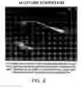 Fig. 09 - Multipotent adult stem cells and methods for isolation