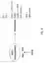 Fig. 10 - Multipotent adult stem cells and methods for isolation