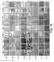 Fig. 15 - Multipotent adult stem cells and methods for isolation