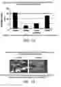 Fig. 16 - Multipotent adult stem cells and methods for isolation