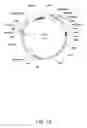 Fig. 89 - Hepatitis C virus vaccine