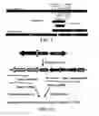 Fig. 02 - COMPOSITIONS AND METHODS FOR INHIBITING GSK3 ACTIVITY AND USES THEREOF