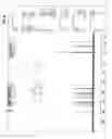 Fig. 09 - COMPOSITION FOR PROMOTING SYNTHESIS OF COLLAGEN, AND COMPOSITION FOR EXTERNAL PREPARATION FOR SKIN COMPRISING THE SAME