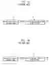Fig. 02 - VPP pumping circuit and VPP pumping method using the same