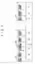 Fig. 04 - PLASMA DISPLAY DEVICE
