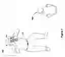 Fig. 08 - Method and apparatus for elliciting attention for photography
