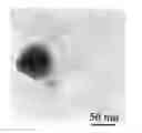 Fig. 01 - Method of preparing cadmium sulfide nanocrystals emitting light at multiple wavelengths, and cadmium sulfide nanocrystals prepared by the method