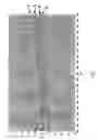 Fig. 02 - PAINT FOR PREVENTING SURFACE REFLECTION