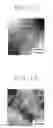 Fig. 08 - MICROPHASE-SEPARATED STRUCTURE ON FLEXIBLE SUBSTRATE, AND METHOD OF MANUFACTURE THEREOF