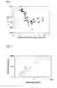 Fig. 02 - Glass for data storage medium substrate, glass substrate for data storage medium and magnetic disk