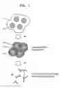 Fig. 02 - HETEROATOM-CONTAINING MESOPOROUS CARBON, METHOD OF PREPARING THE SAME, AND FUEL CELL USING THE HETEROATOM-CONTAINING MESOPOROUS CARBON