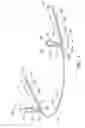 Fig. 02 - Orthodontic apparatus and method