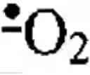 Fig. 02 - Method of identifying compounds useful to treat neuronal degenerative diseases