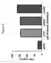 Fig. 06 - Mammalian expression vectors and uses thereof