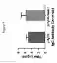 Fig. 08 - Mammalian expression vectors and uses thereof