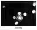 Fig. 07 - Assembly of wild-type and chimeric influenza virus-like particles (VLPs)