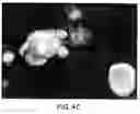 Fig. 08 - Assembly of wild-type and chimeric influenza virus-like particles (VLPs)