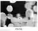 Fig. 09 - Assembly of wild-type and chimeric influenza virus-like particles (VLPs)
