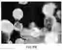 Fig. 10 - Assembly of wild-type and chimeric influenza virus-like particles (VLPs)