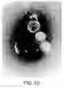 Fig. 19 - Assembly of wild-type and chimeric influenza virus-like particles (VLPs)