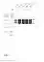Fig. 06 - Immunization with bacterial ghost-based vaccines
