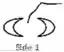 Fig. 02 - TANDEM REAPEAT DNA CONSTRUCTS PRODUCING PROTEINS THAT ATTACK PLANT PATHOGENIC VIRUSES, FUNGI, AND BACTERIA BY DISRUPTING TRANSCRIPTION FACTORS ESSENTIAL FOR REPLICATION THEREOF IN PLANTS