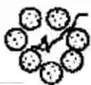 Fig. 06 - TANDEM REAPEAT DNA CONSTRUCTS PRODUCING PROTEINS THAT ATTACK PLANT PATHOGENIC VIRUSES, FUNGI, AND BACTERIA BY DISRUPTING TRANSCRIPTION FACTORS ESSENTIAL FOR REPLICATION THEREOF IN PLANTS