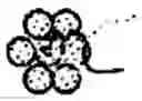 Fig. 07 - TANDEM REAPEAT DNA CONSTRUCTS PRODUCING PROTEINS THAT ATTACK PLANT PATHOGENIC VIRUSES, FUNGI, AND BACTERIA BY DISRUPTING TRANSCRIPTION FACTORS ESSENTIAL FOR REPLICATION THEREOF IN PLANTS