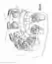 Fig. 33 - Grooved High Density Plate