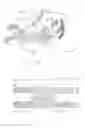 Fig. 02 - Apparatus and method for repairing vaginal reconstruction