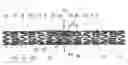Fig. 01 - STENT EXPANSION COLUMN, STRUT AND CONNECTOR SLIT DESIGN