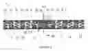 Fig. 02 - STENT EXPANSION COLUMN, STRUT AND CONNECTOR SLIT DESIGN