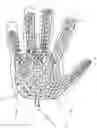 Fig. 01 - Med ready gloves