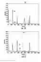 Fig. 13 - EXHAUST GAS SENSING SYSTEM AND METHODS FOR SENSING CONCENTRATIONS OF EXHAUST GAS CONSTITUENTS