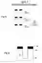 Fig. 04 - DEEP REACTIVE ION ETCHING