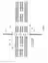 Fig. 10 - Photonic clock stabilized laser comb processing