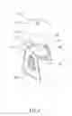 Fig. 05 - Teapot