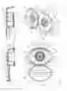 Fig. 04 - CLOSURE FOR A CONTAINER CONTAINING A FLUID