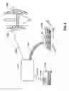 Fig. 08 - Rapid comestible fluid dispensing apparatus and method