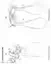 Fig. 06 - Carrying apparatus