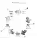 Fig. 01 - ART INFUSED FILMS AND METHODS FOR MAKING THE SAME
